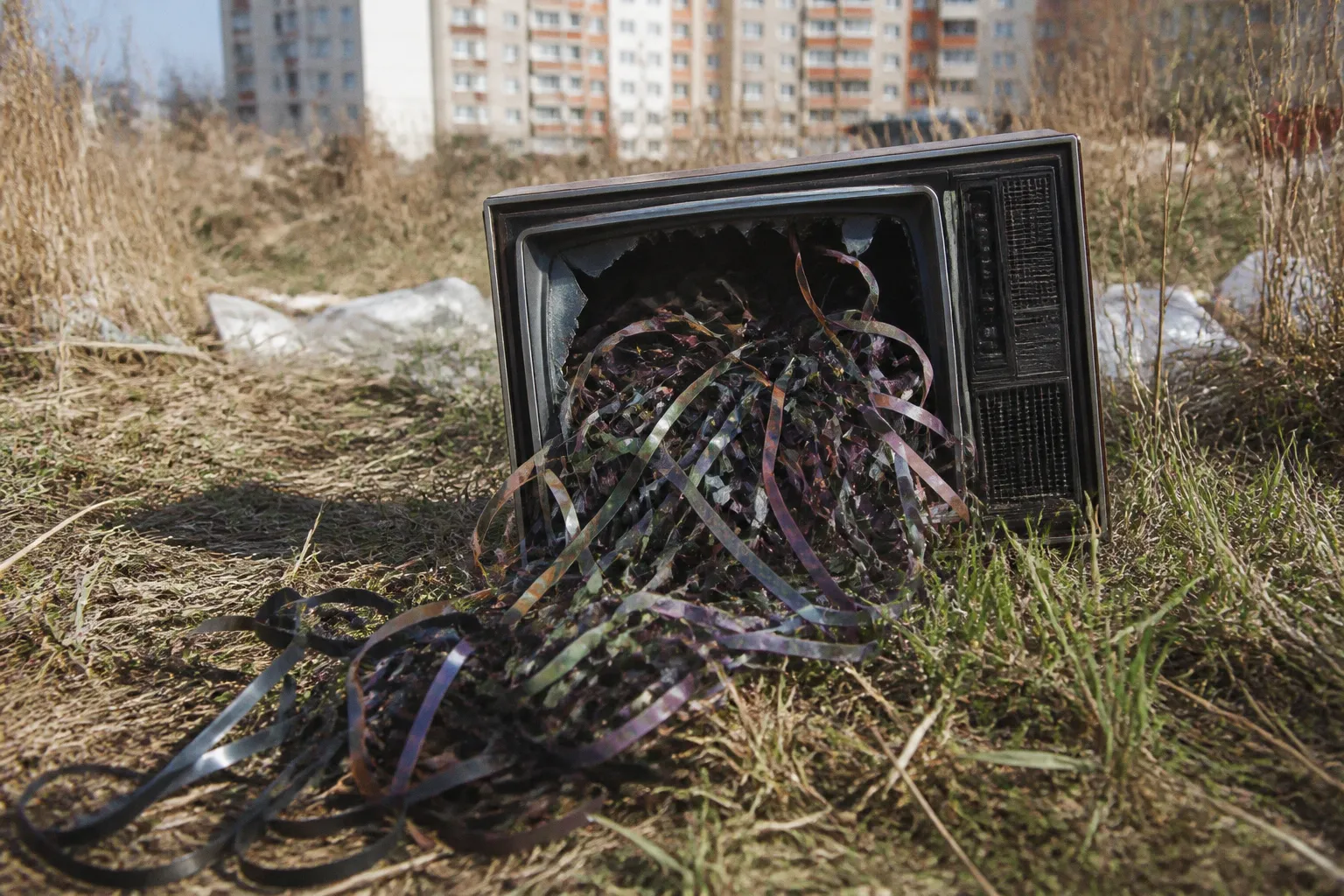 Эволюция абсурда: почему новые смешные мемы кажутся нам бредом